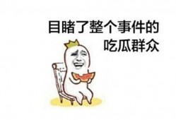 每日吃瓜打架,吃瓜打架，娱乐圈的日常众生相