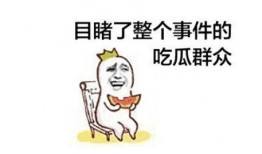 每日吃瓜打架,吃瓜打架，娱乐圈的日常众生相