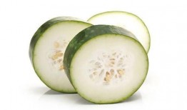 今天吃瓜发圈,你我共赏