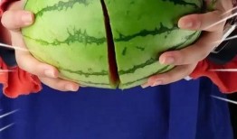 今天吃瓜发圈,你我共赏