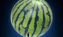 坐等吃大瓜,揭秘娱乐圈幕后故事