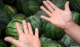 卖人吃瓜,揭秘娱乐圈背后的惊人真相