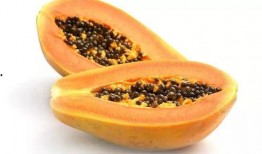 日本木纹瓜怎么吃,日本木纹瓜的多样食法探索