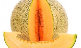 去哈尔滨吃哈密瓜,哈密瓜的甜蜜邂逅