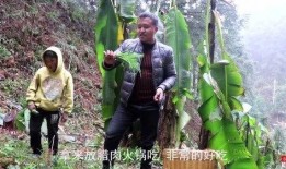 农村兄弟吃土瓜,共享田园生活的甜蜜滋味