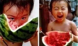 夏树吃瓜,瓜香四溢的悠闲时光