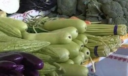 扶手瓜种子可以吃吗,可食用之谜揭晓