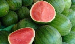 糖尿病吃松瓜,天然降糖佳品