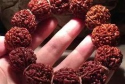 抖音菩提吃瓜,揭秘网络红人的幕后故事