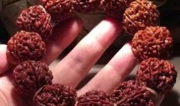 抖音菩提吃瓜,揭秘网络红人的幕后故事