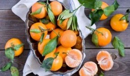 吃哈密瓜可以吃橘子吗,探索夏日水果新吃法