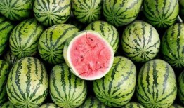 吃瓜今日必吃大瓜,吃瓜群众今日必看焦点事件