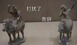 带你吃瓜考古,揭秘“吃瓜考古”背后的历史故事