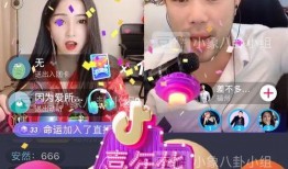 吃瓜炫舞2,畅游虚拟世界，尽享欢乐时光