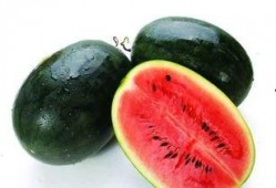 横条纹吃瓜视频