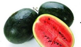 横条纹吃瓜视频