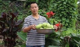 吃兔儿瓜的好处,营养丰富的健康佳品，益处多多的养生秘籍