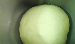 气孔瓜可以吃吗,揭秘其食用价值与食用方法