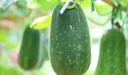 吃瓜今日必吃大瓜,吃瓜群众今日必看焦点事件