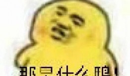 吃瓜洗脸表情包,趣味横生的网络文化现象