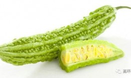 吃wlh瓜,探寻“wlh瓜”的独特风味与美食文化