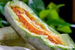 山东曹力明吃瓜,一场网络热议的瓜田奇谈