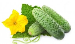 吃瓜系统萧北辰,瓜田里的风云人物