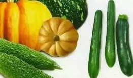 秋凉的吃瓜,品味秋日里的甜蜜时光