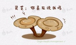 带你吃瓜平平无奇,带你领略平平无奇的吃瓜日常