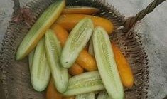 威海大妈吃瓜,揭秘街头热议事件