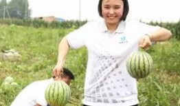 八组吃瓜组,揭秘娱乐圈幕后风云