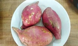 番薯的吃瓜日常,笑谈人间烟火气