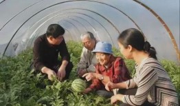 维族吃瓜,瓜果飘香中的民族饮食文化