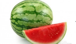 吃瓜群壁纸,揭秘网络社交背后的趣味与热议