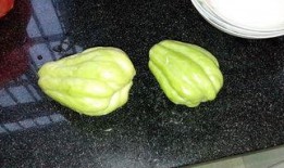 吃兔儿瓜的好处,营养丰富的健康佳品，益处多多的养生秘籍