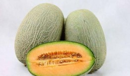 长期吃哈密瓜的后果图片,揭秘甜蜜背后的健康秘密