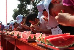 吃瓜啦活动反思,从娱乐到成长的启示录