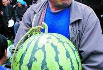 20岁吃小瓜,小瓜的甜蜜滋味