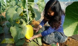 带你吃瓜考古,揭秘“吃瓜考古”背后的历史故事