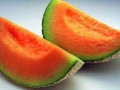 去哈尔滨吃哈密瓜,哈密瓜的甜蜜邂逅
