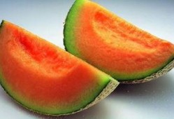 去哈尔滨吃哈密瓜,哈密瓜的甜蜜邂逅