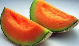 去哈尔滨吃哈密瓜,哈密瓜的甜蜜邂逅