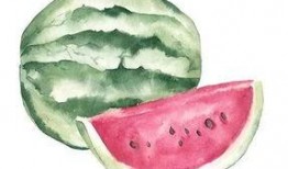 不同的吃瓜视角,揭秘娱乐圈幕后真相