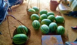 田瓜咋吃,解锁美味新体验