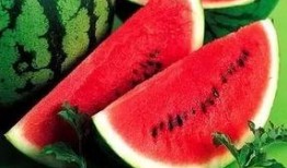 立即吃瓜,立即吃瓜，最新热点事件大揭秘！