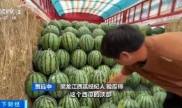 汾阳地下车库吃瓜,吃瓜群众的夏日休闲胜地