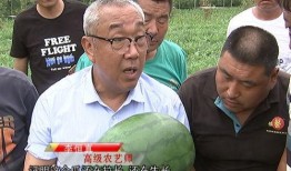 张博士吃瓜经济,吃瓜经济现象背后的社会文化洞察