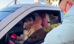 误入车队全程吃瓜,全程吃瓜，揭秘车队背后的故事