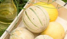 吃瓜太多会得病,过度“吃瓜”当心健康隐患