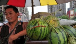 被围观吃瓜,揭秘网络热议背后的真相与趣味